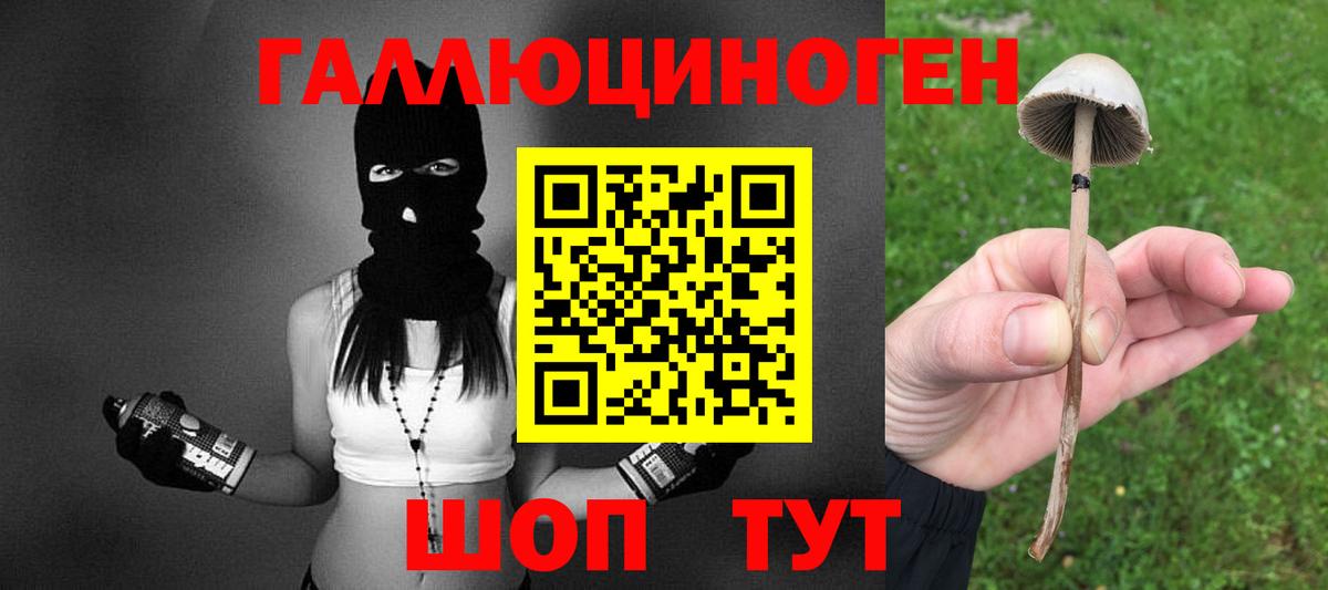 Псилоцибиновые грибы Psilocybine cubensis  Вход с VPN  Омск  Псилоцибиновые грибы Magic Shrooms 