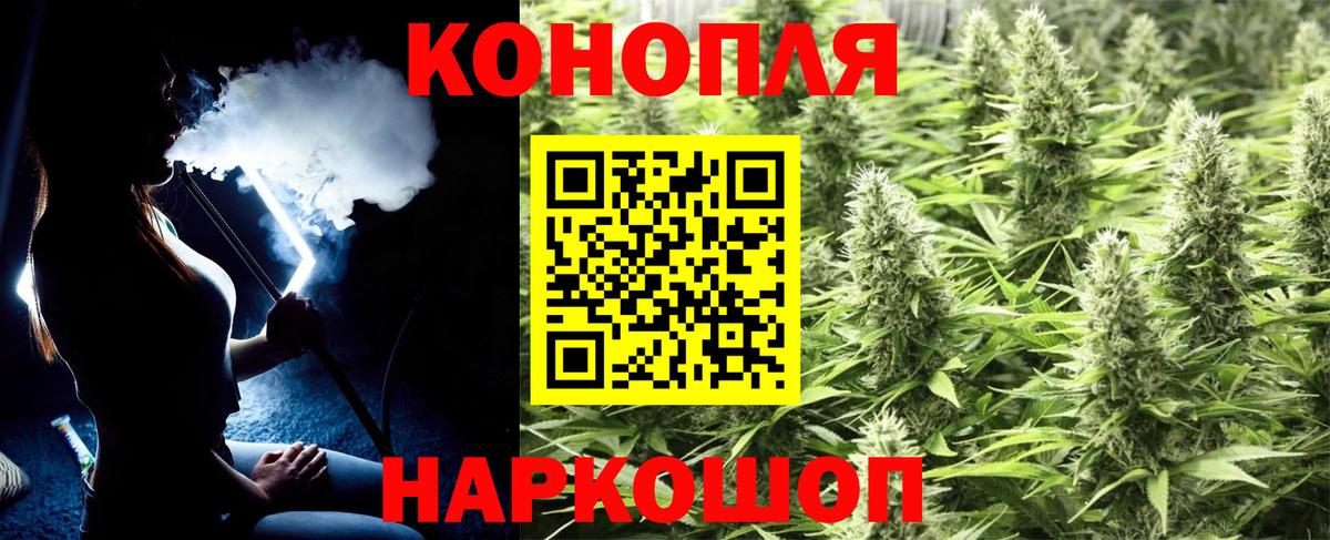 Шишки марихуана планчик  Марихуана сатива  Вход с VPN  Омск 